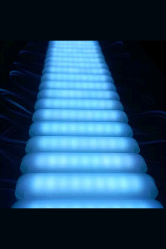 قیمت چراغ بلوکی عکس چراغ بلوکی چراغ بلوکی چشمک زن چراغ بلوکی هفت رنگ چراغ بلوکی زرد چراغ بلوکی ال ای دی چراغ بلوکی ابی چراغ بلوکی انبه ای چراغ بلوکی اس ام دی چراغ الیدی بلوکی چراغ بلوکی چند ولت است انواع چراغ بلوکی