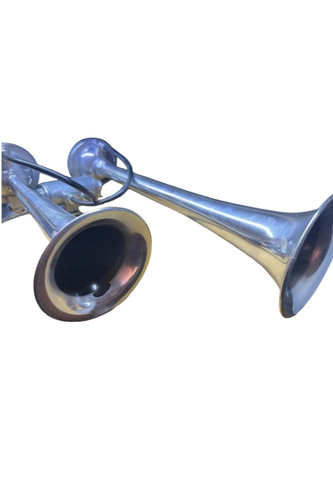 بوق دو صدای شلنگی طنین